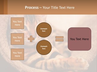Cat On The Couch PowerPoint Template