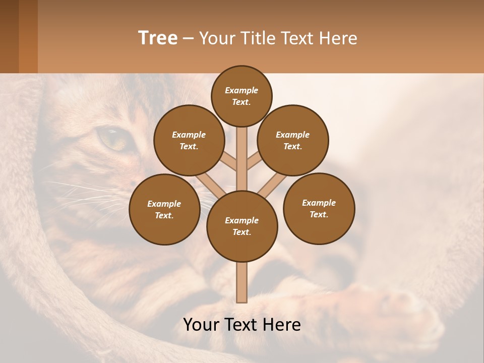 Cat On The Couch PowerPoint Template