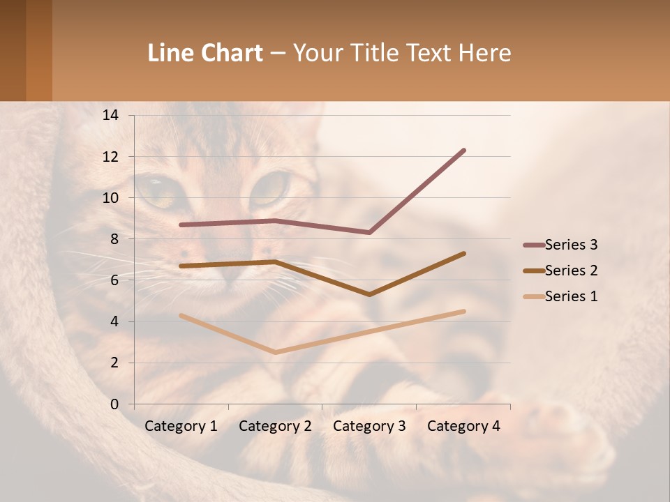 Cat On The Couch PowerPoint Template