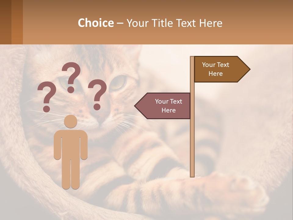 Cat On The Couch PowerPoint Template