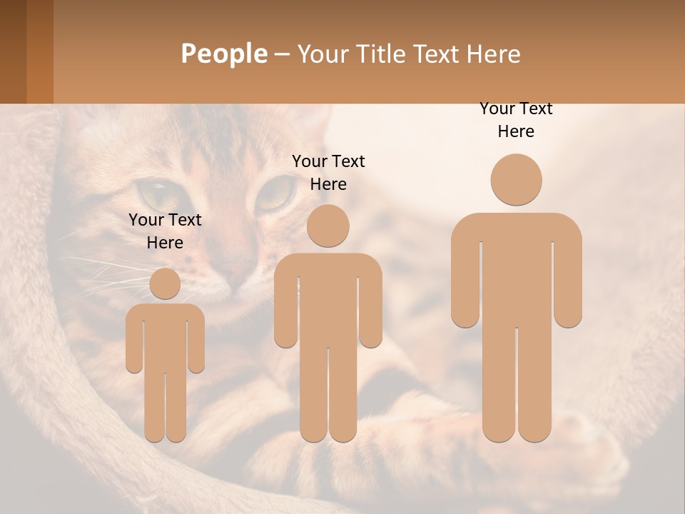 Cat On The Couch PowerPoint Template