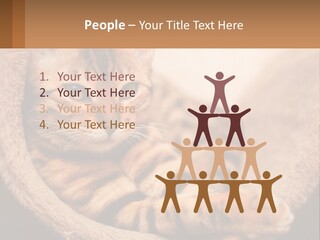 Cat On The Couch PowerPoint Template