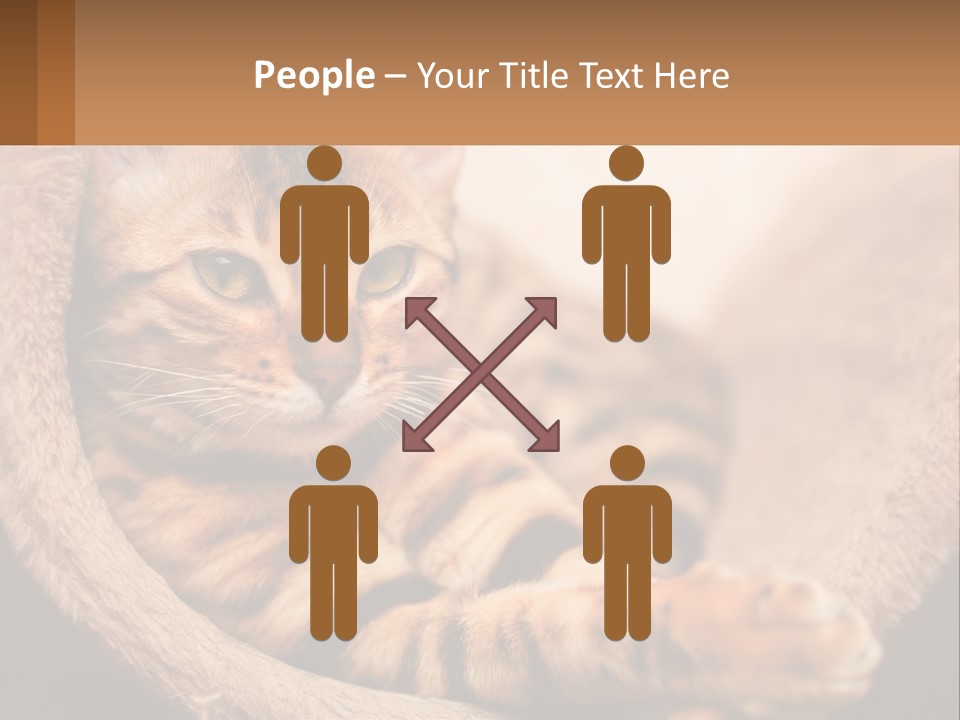 Cat On The Couch PowerPoint Template