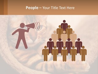 Cat On The Couch PowerPoint Template