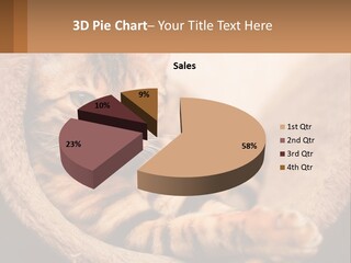 Cat On The Couch PowerPoint Template