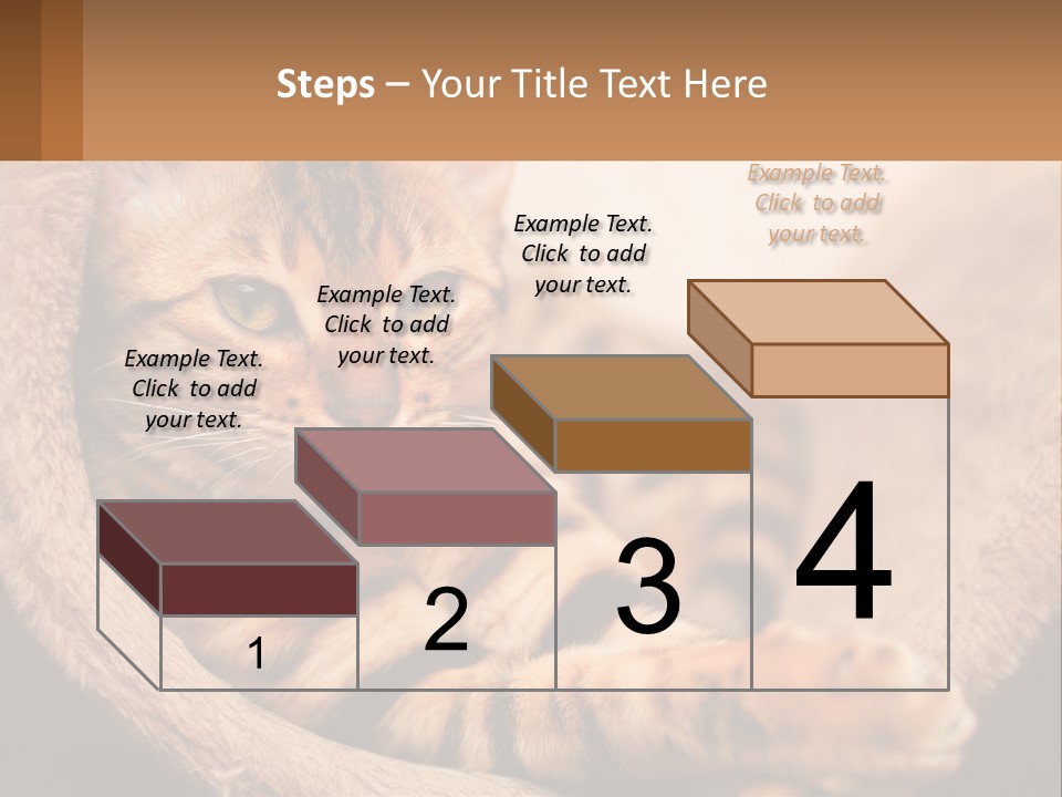 Cat On The Couch PowerPoint Template