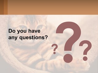 Cat On The Couch PowerPoint Template