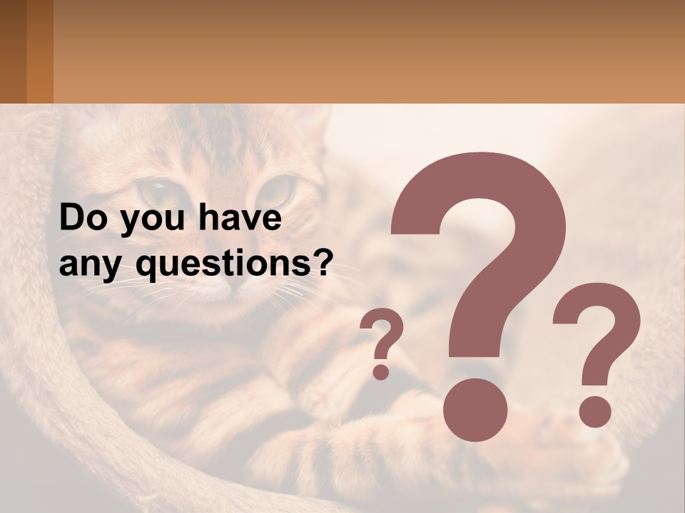 Cat On The Couch PowerPoint Template