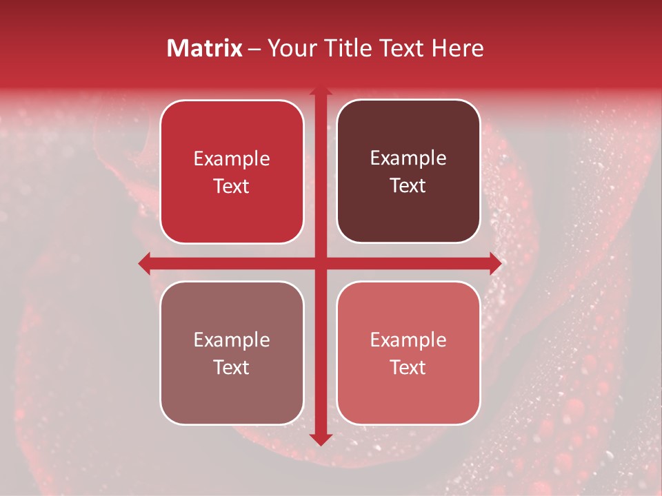 Rose Macro Photography PowerPoint Template