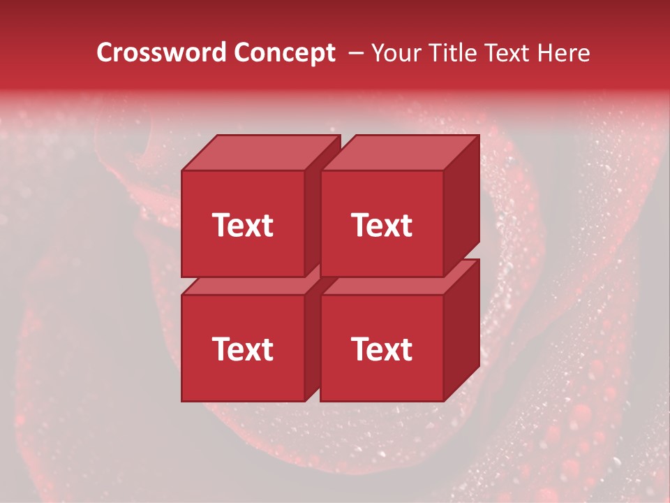 Rose Macro Photography PowerPoint Template