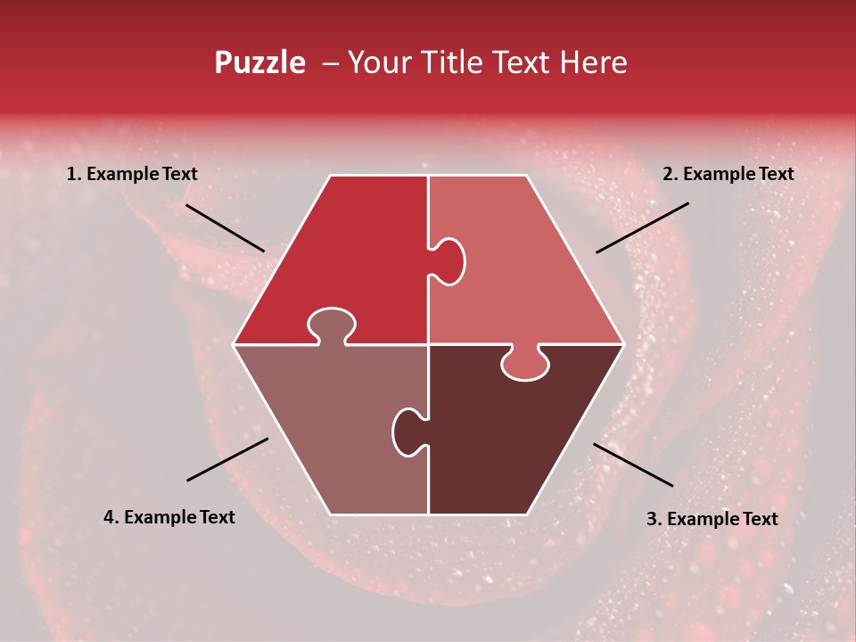 Rose Macro Photography PowerPoint Template