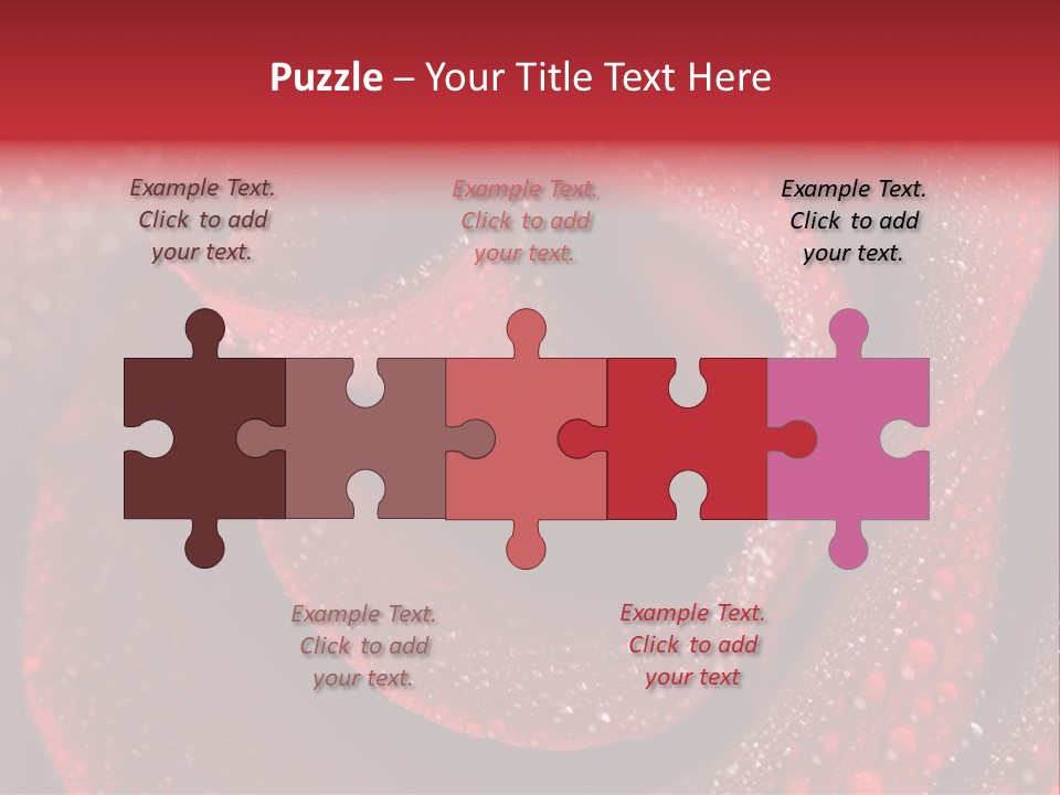 Rose Macro Photography PowerPoint Template