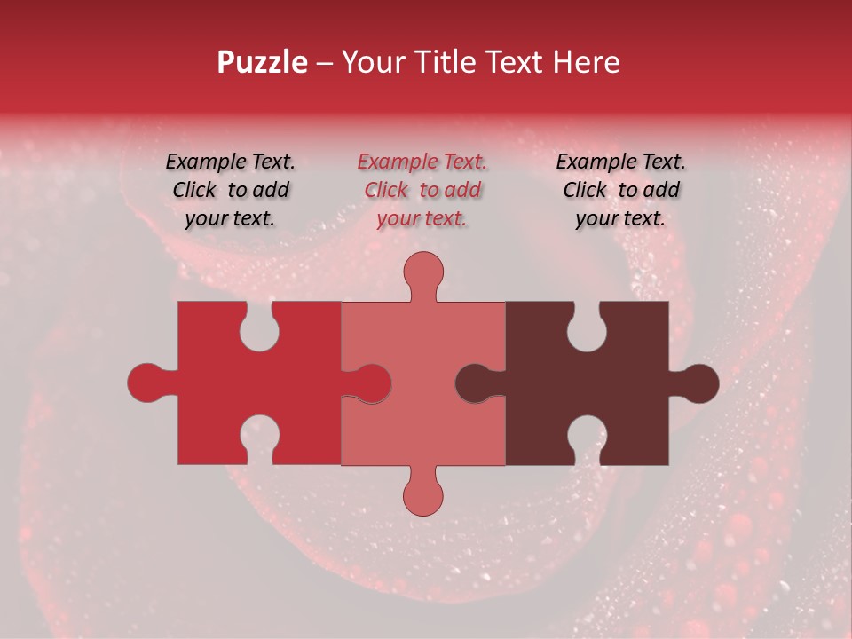 Rose Macro Photography PowerPoint Template