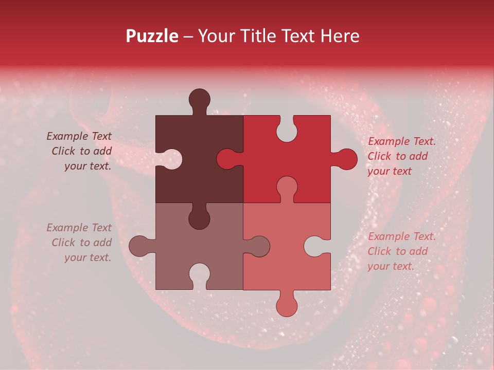 Rose Macro Photography PowerPoint Template