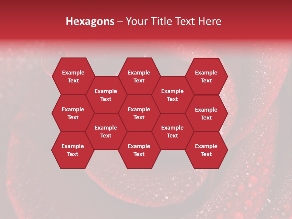 Rose Macro Photography PowerPoint Template