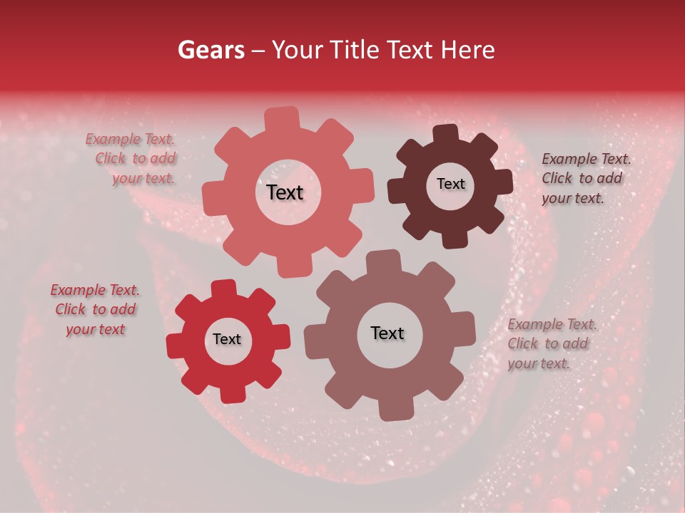 Rose Macro Photography PowerPoint Template