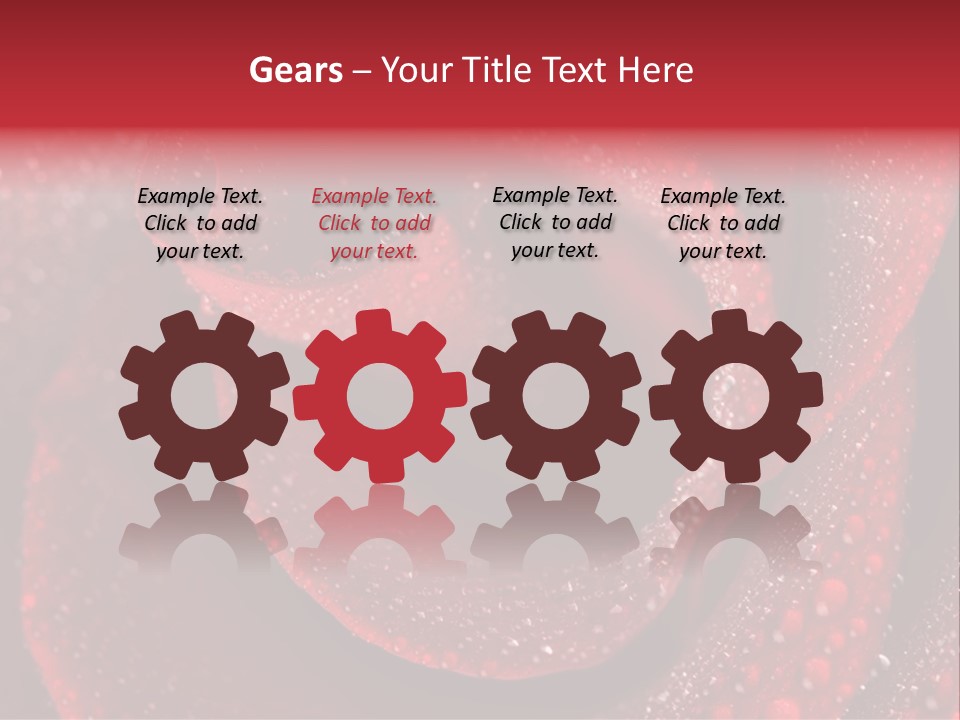 Rose Macro Photography PowerPoint Template