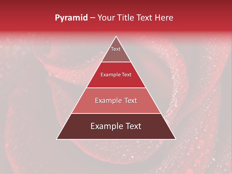 Rose Macro Photography PowerPoint Template