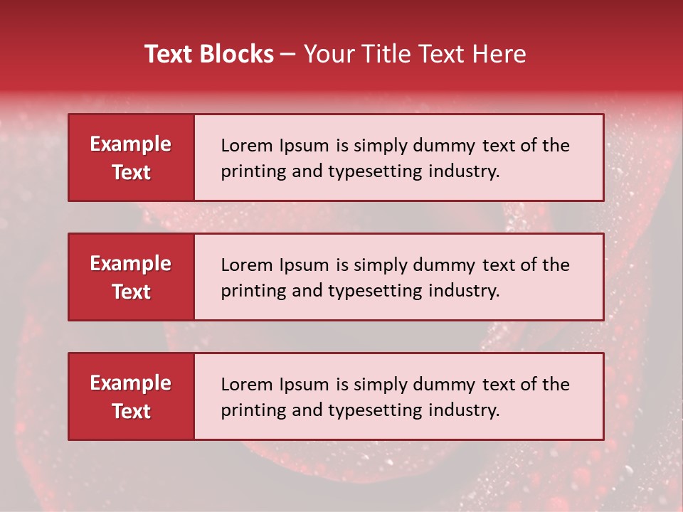 Rose Macro Photography PowerPoint Template