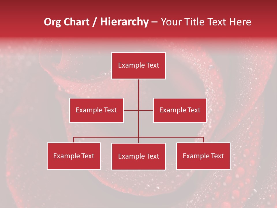 Rose Macro Photography PowerPoint Template