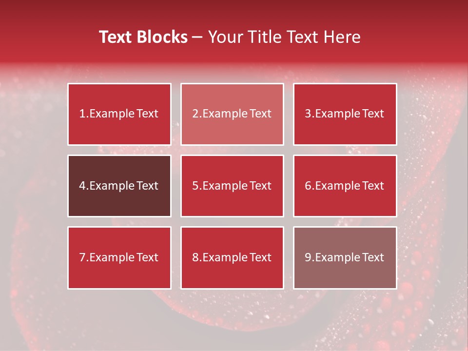 Rose Macro Photography PowerPoint Template