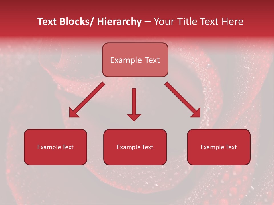 Rose Macro Photography PowerPoint Template