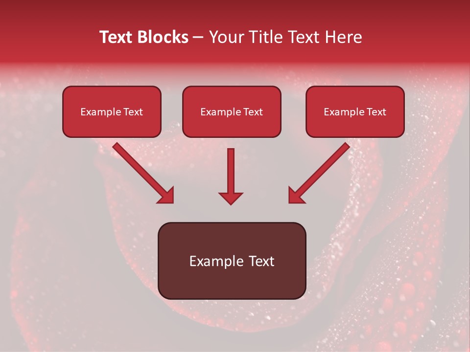 Rose Macro Photography PowerPoint Template