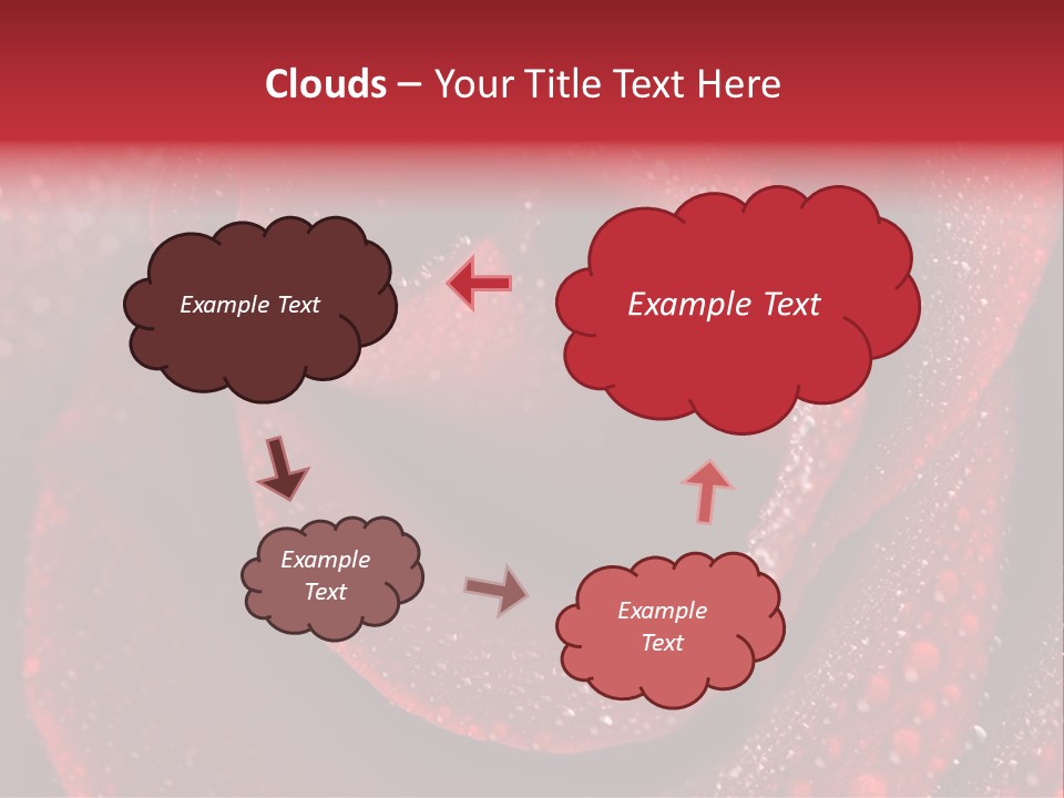 Rose Macro Photography PowerPoint Template
