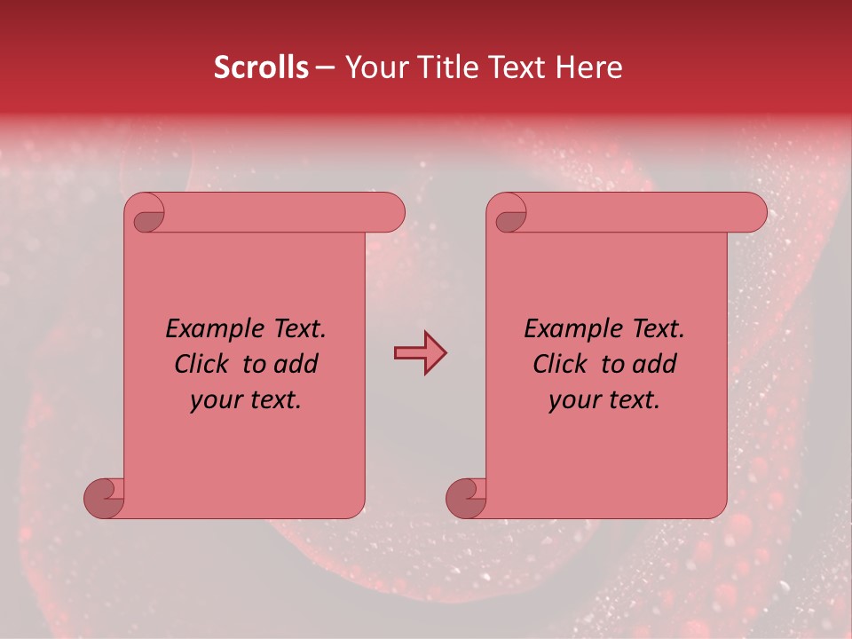 Rose Macro Photography PowerPoint Template