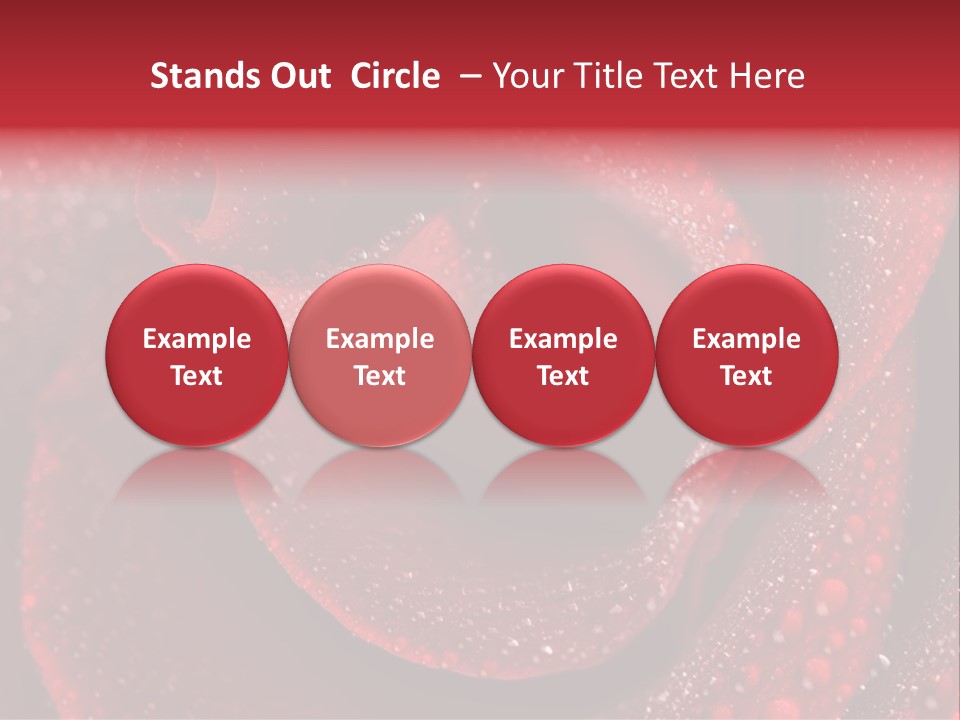 Rose Macro Photography PowerPoint Template