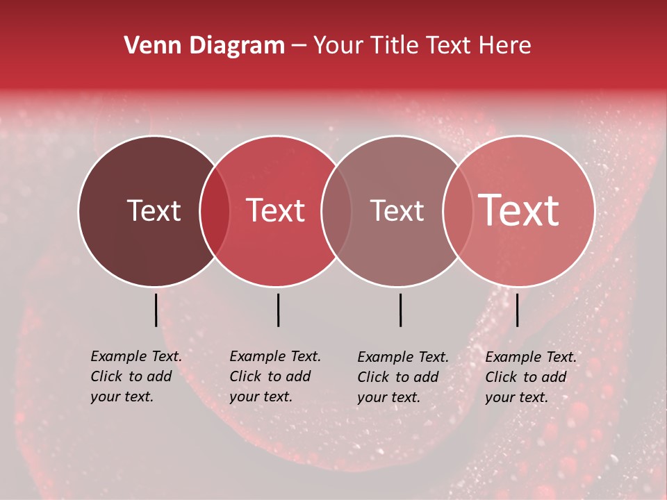 Rose Macro Photography PowerPoint Template