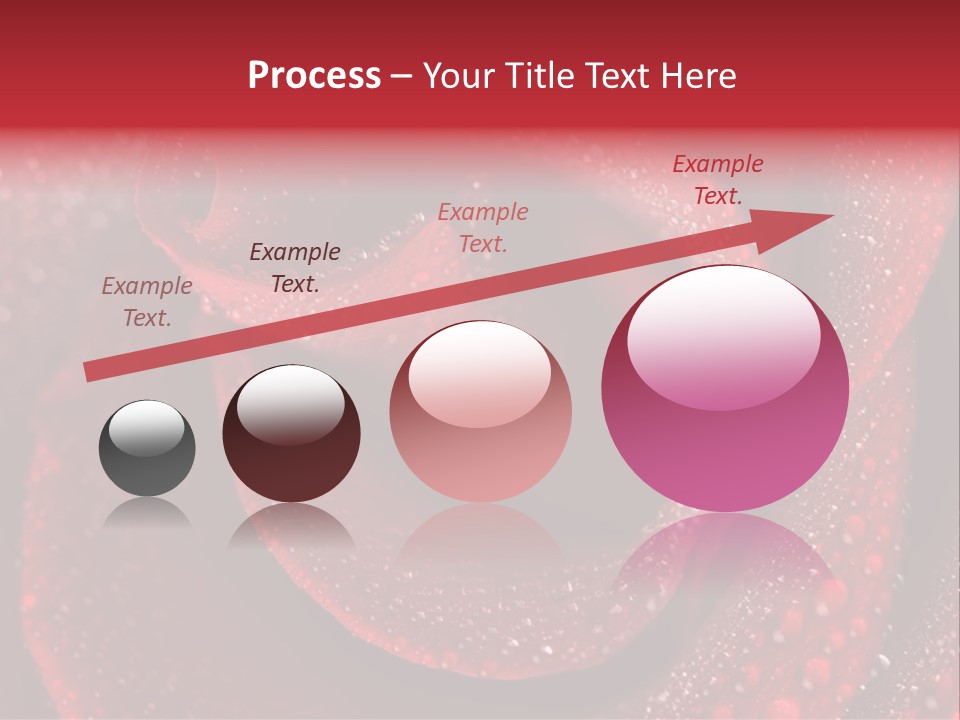 Rose Macro Photography PowerPoint Template