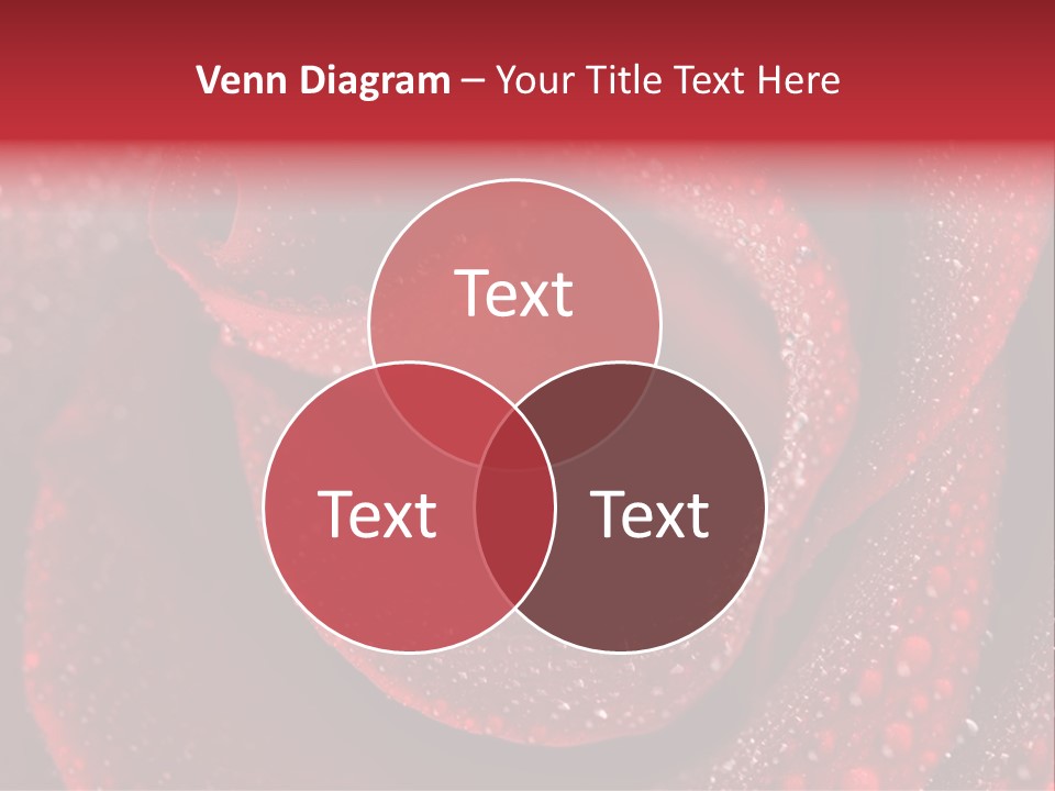 Rose Macro Photography PowerPoint Template