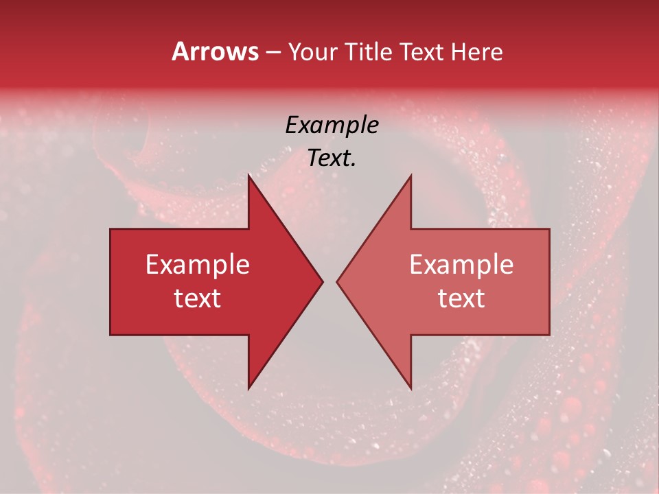 Rose Macro Photography PowerPoint Template