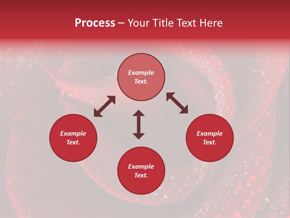 Rose Macro Photography PowerPoint Template