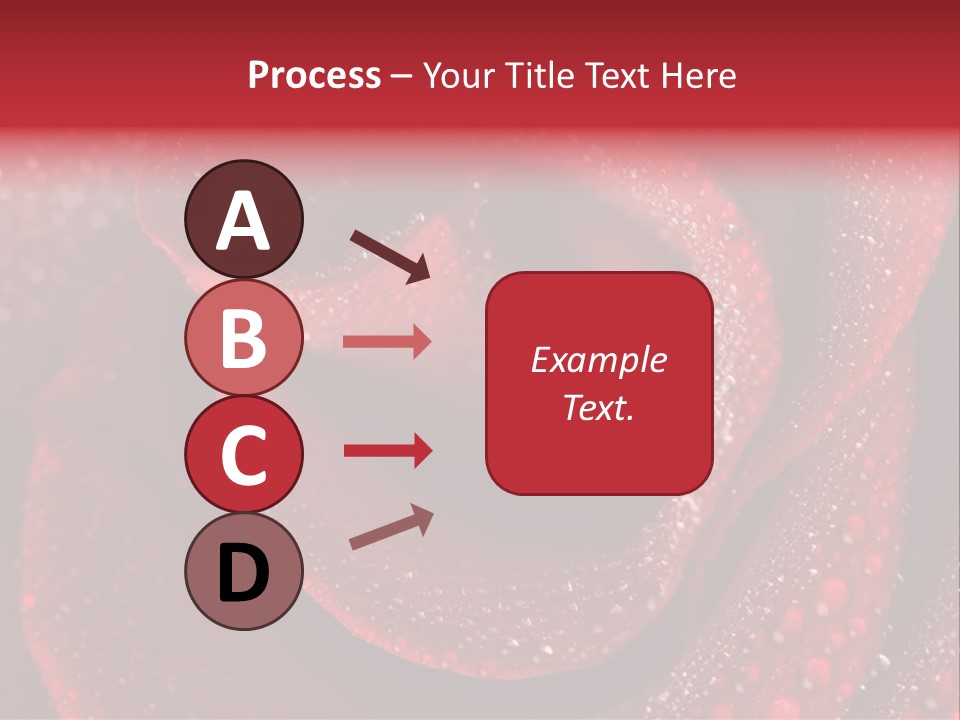 Rose Macro Photography PowerPoint Template