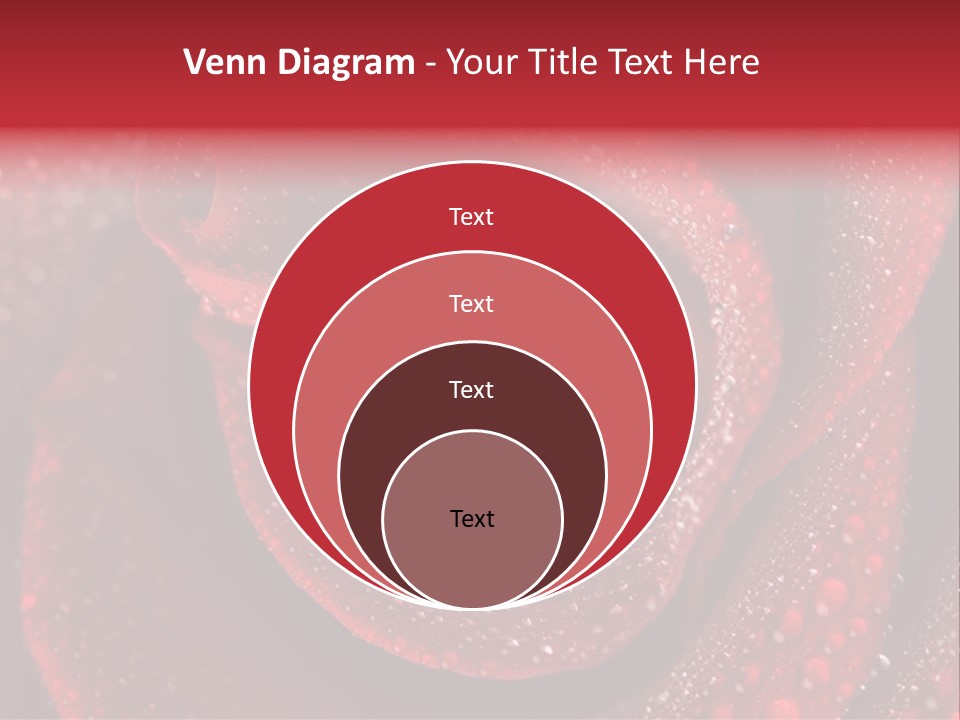 Rose Macro Photography PowerPoint Template
