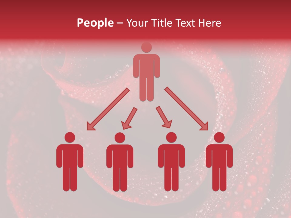 Rose Macro Photography PowerPoint Template