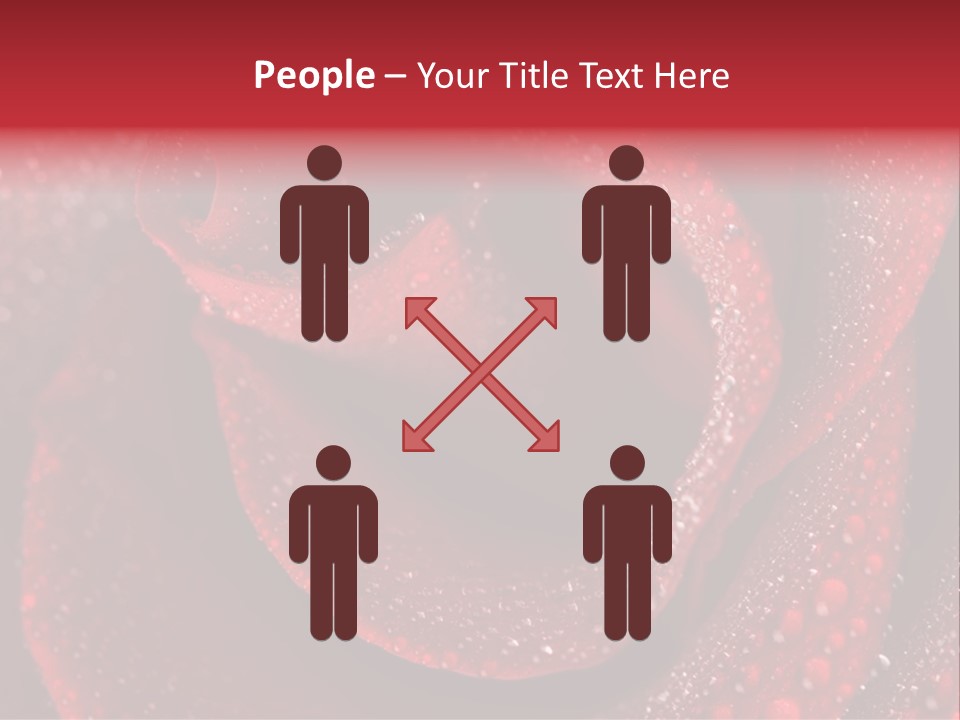 Rose Macro Photography PowerPoint Template