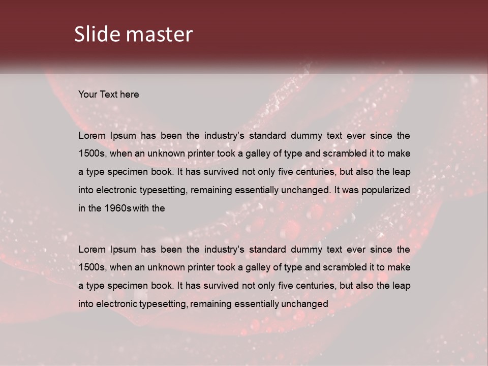 Macro Photography Of Water Drops On A Rose PowerPoint Template