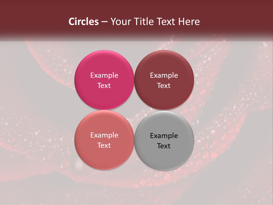 Macro Photography Of Water Drops On A Rose PowerPoint Template