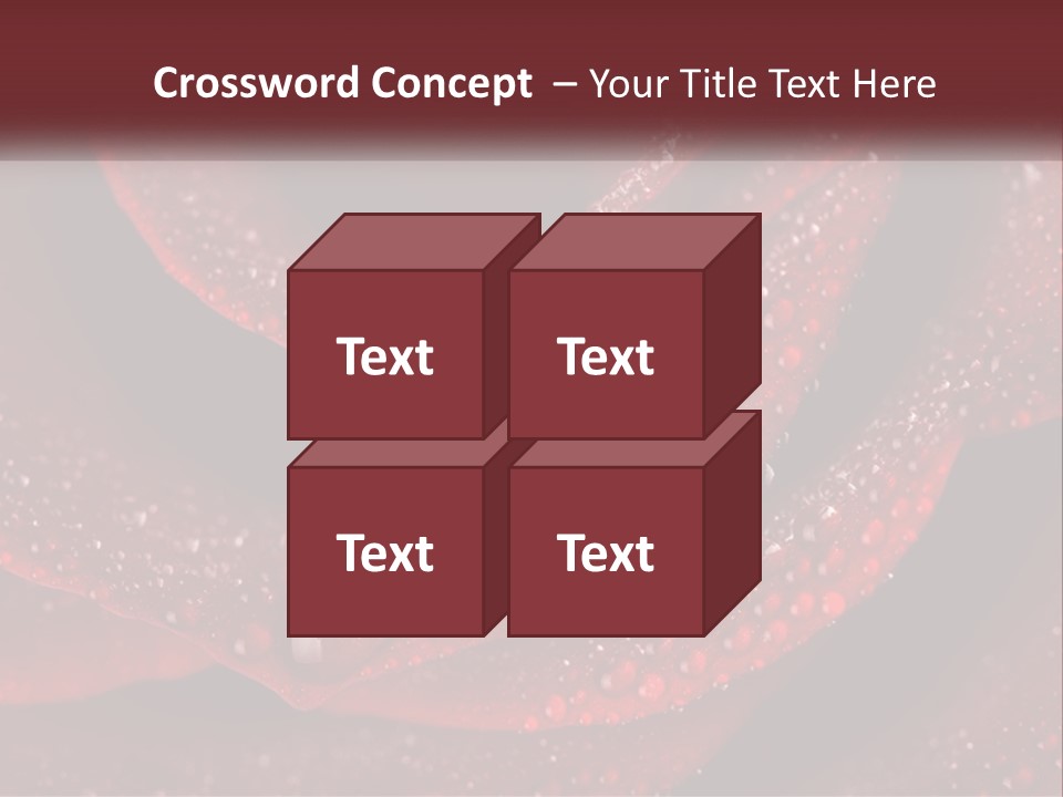 Macro Photography Of Water Drops On A Rose PowerPoint Template