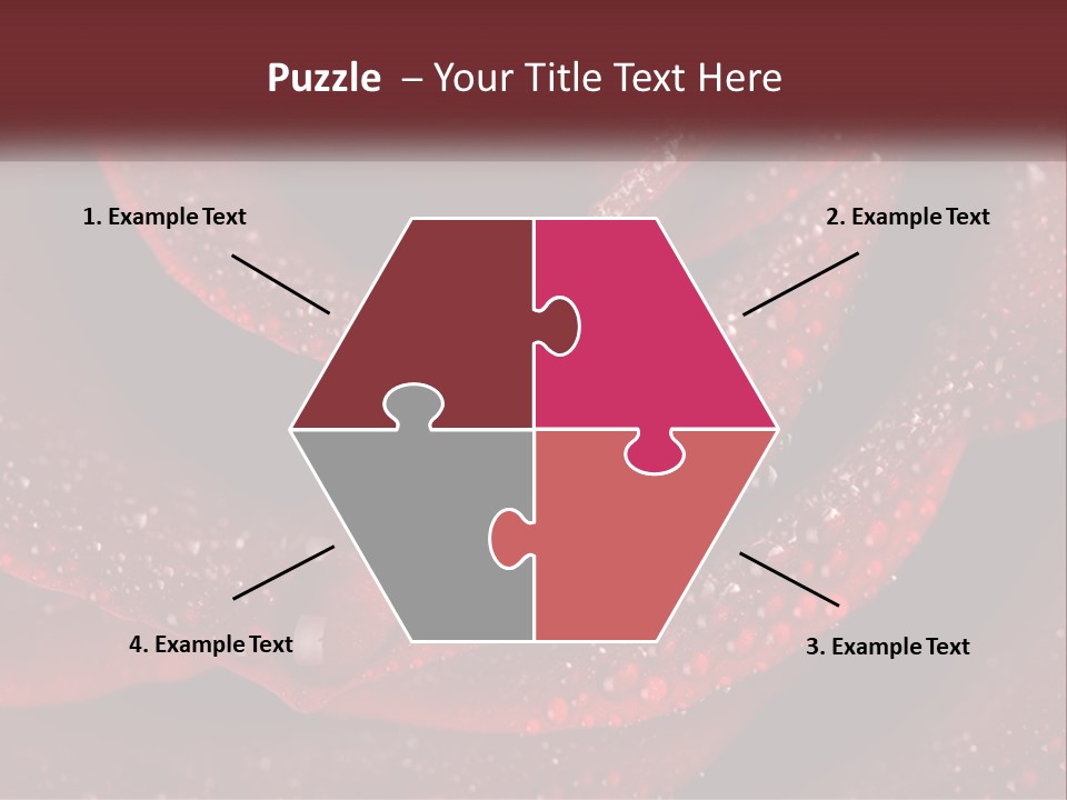 Macro Photography Of Water Drops On A Rose PowerPoint Template