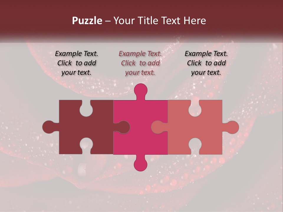 Macro Photography Of Water Drops On A Rose PowerPoint Template