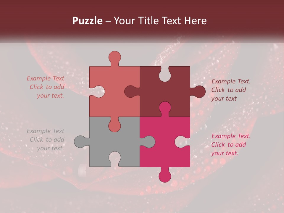 Macro Photography Of Water Drops On A Rose PowerPoint Template