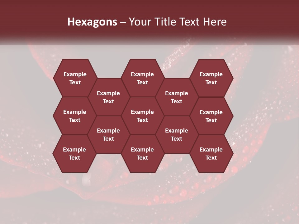 Macro Photography Of Water Drops On A Rose PowerPoint Template