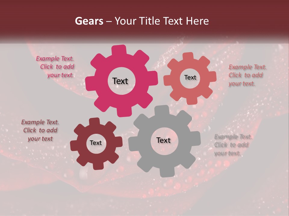 Macro Photography Of Water Drops On A Rose PowerPoint Template