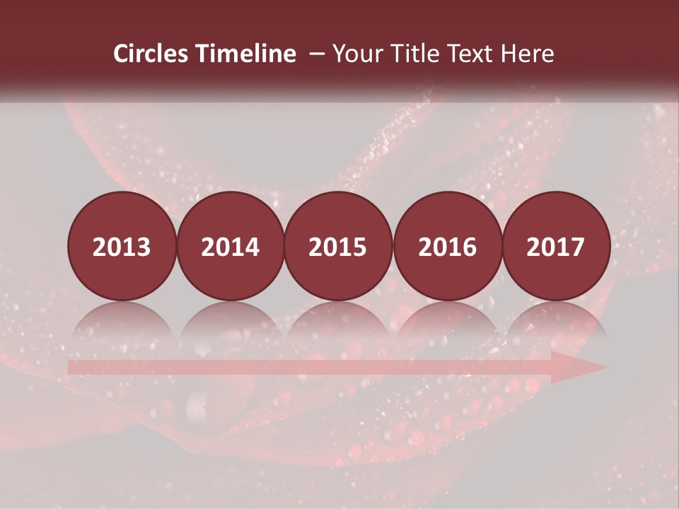 Macro Photography Of Water Drops On A Rose PowerPoint Template