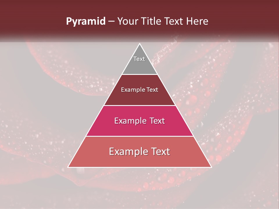 Macro Photography Of Water Drops On A Rose PowerPoint Template
