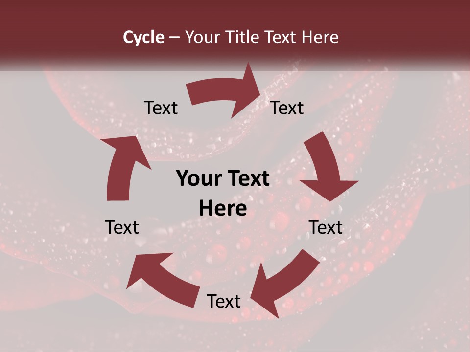 Macro Photography Of Water Drops On A Rose PowerPoint Template